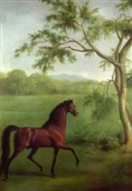 An Arabian Stallion Beneath a Tree