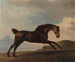 A Bay Hinter Galloping in a Mountainous Landscape