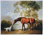 Bay Horse and White Dog