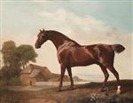 A Chestnut Thoroughbred before a Barn in an Open Landscape