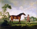 The Duke of Ancaster's Bay Stallion 'Spectator', Held by a Groom