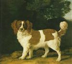 'Fanny,' the favorite spaniel of Mrs. Musters, standing in a wooded landscape