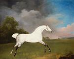A Grey Horse 1793