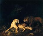 Lion and Lioness 2