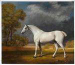 Mambrino (White Horse in a Paddock)