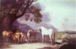 Mares and Foals in a Mountainous Landscape