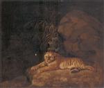 Portrait of the Royal Tiger