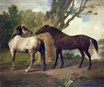 Two Horses in a landscape