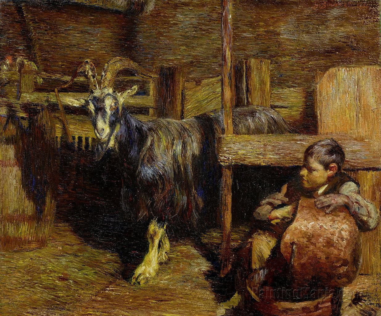 In the Goat Barn