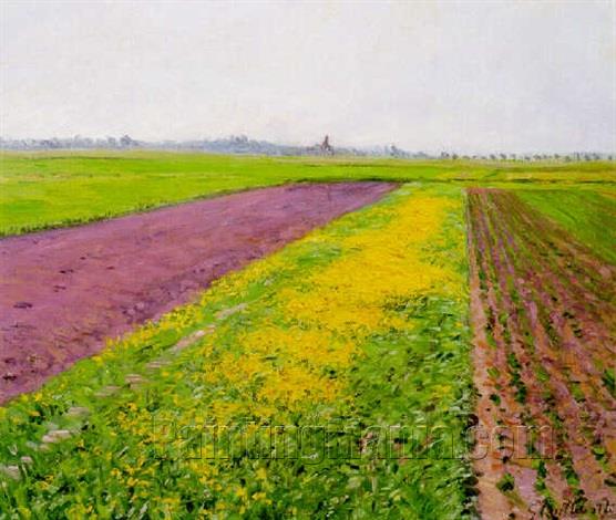 The Plain of Gennevilliers, Yellow Field 1884