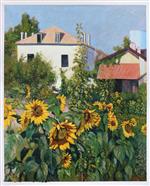 Sunflowers. Garden at Petit Gennevilliers