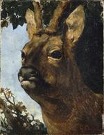 Head of a Young Doe