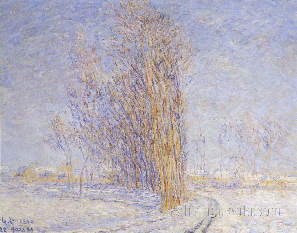 Landscape in Snow