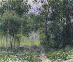 In the Woods 1909