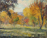 Lanscape with trees