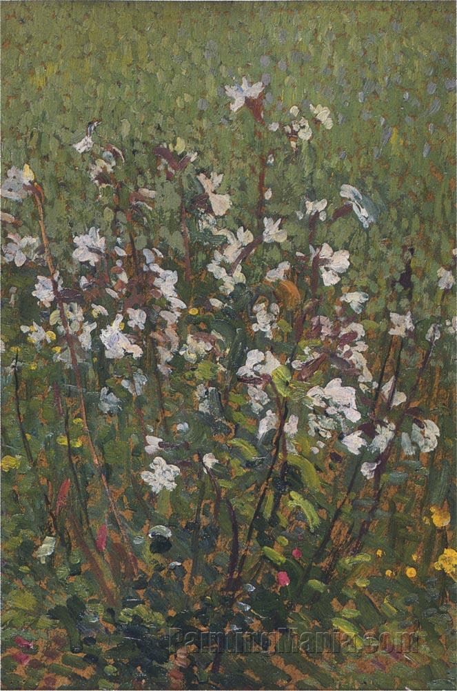 White Flowers in the Field