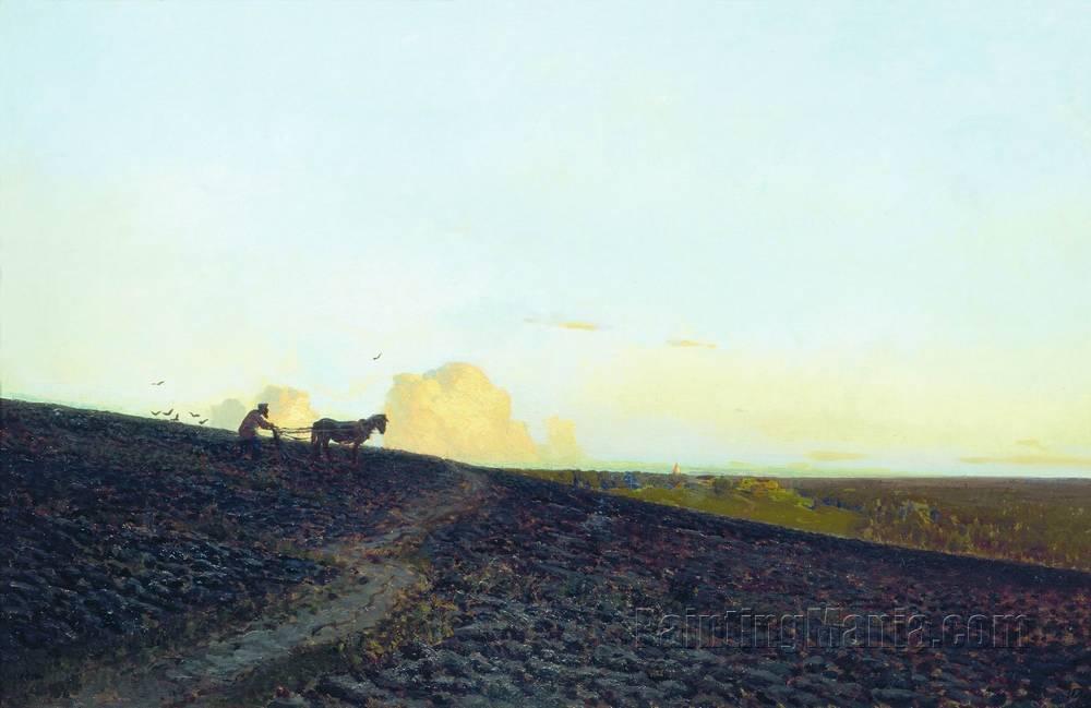 Evening in the Field