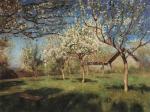 Apple Trees in Blossom 3