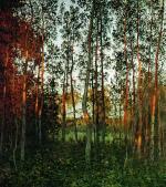 The Last Rays of the Sun. Aspen Forest