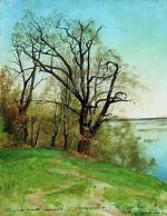 Oak on the Riverbank