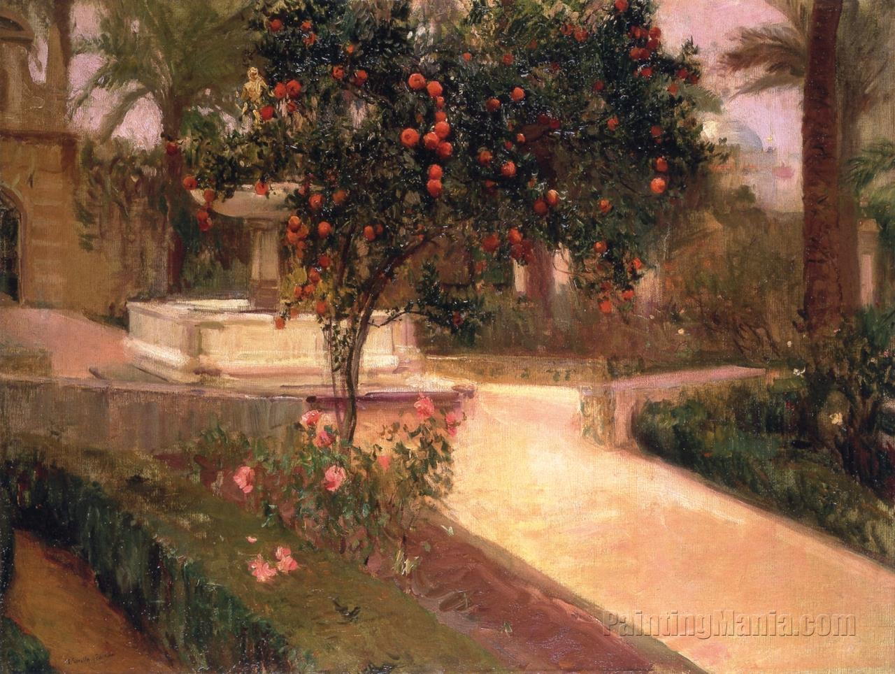 Garden, Alcazar, Seville