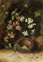 Still Life of Birds Nest with Primulas and Blossom