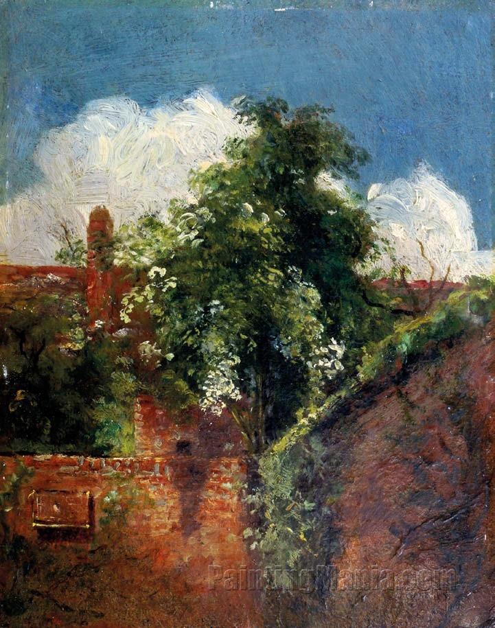 View from the Back of a Terrace of Houses, with Elder Tree