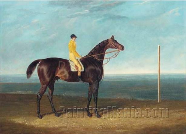 ack Spigot, a dark bay racehorse with jockey up