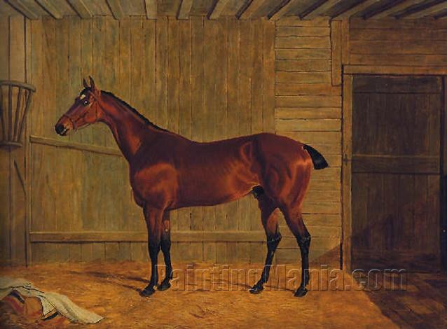 A Bay Horse in a Stable 1826
