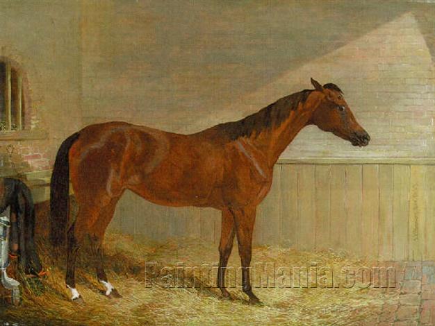 A Bay Horse in a Stable 1843
