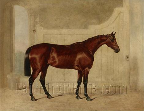 A Bay Horse in a Stable 2