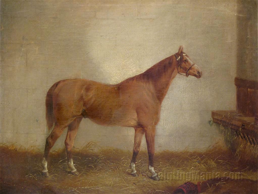 A Bay Hunter in a Stable