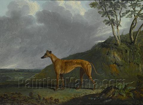 A Brindle Greyhound bitch in a Landscape