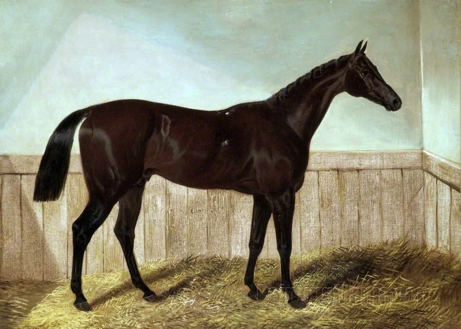 Charles XII 1855