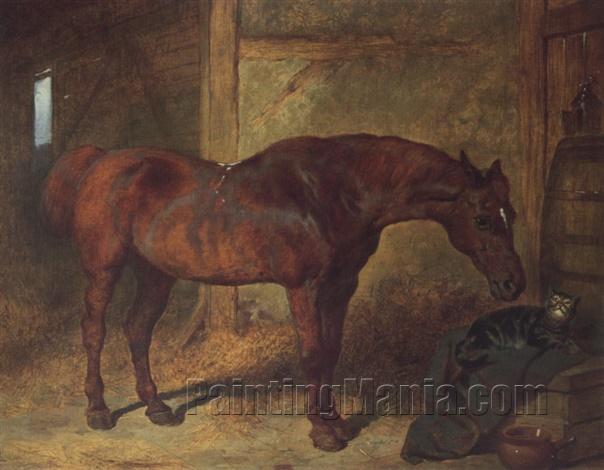 A Chestnut Hunter with a Cat in a Stable