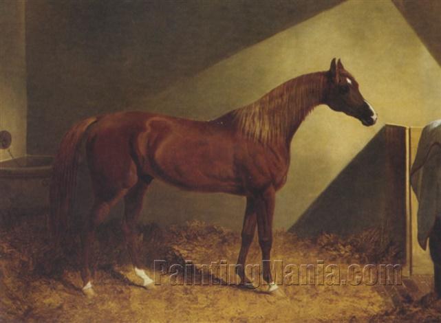 A Chestnut Race Horse in a Stall