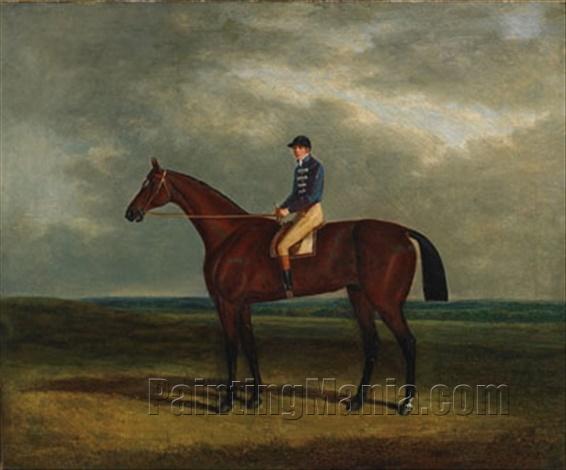 A chestnut racehorse with jockey up in an extensive landscape