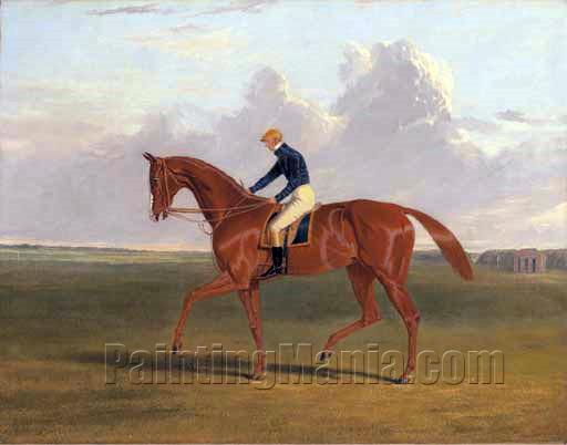 Colonel Peel's chestnut filly "Vulture", with jockey up, on Newmarket Heath