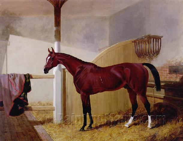 Colonel Peel's "Orlando" in a Stable