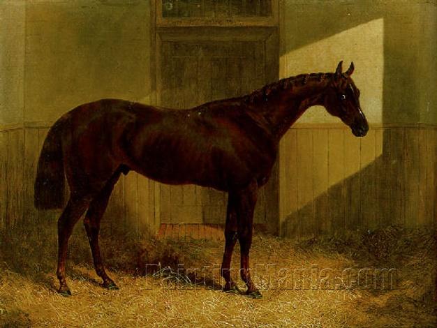 "Cossack" winner of the 1847 Derby, in a stable