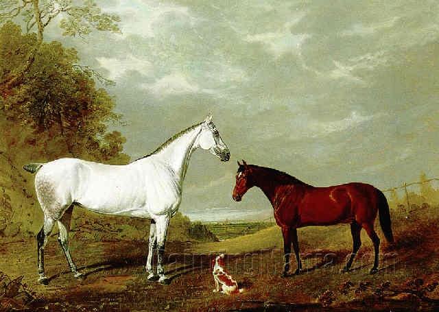 A dappled grey and a bay hunter with a spaniel