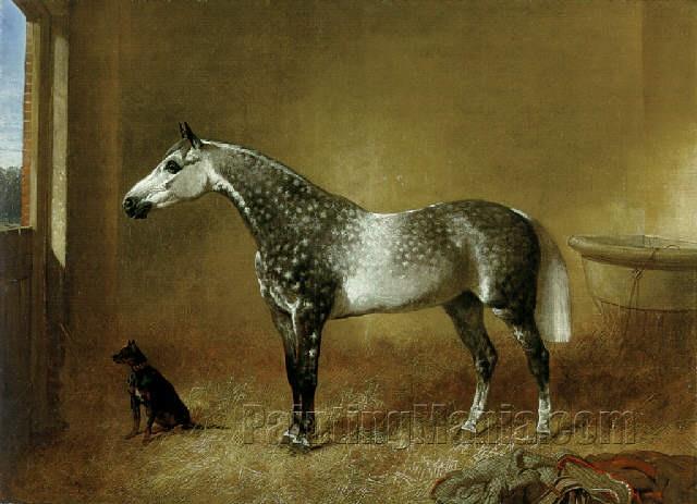 A Dappled Grey Mare and a Dog in a Stable