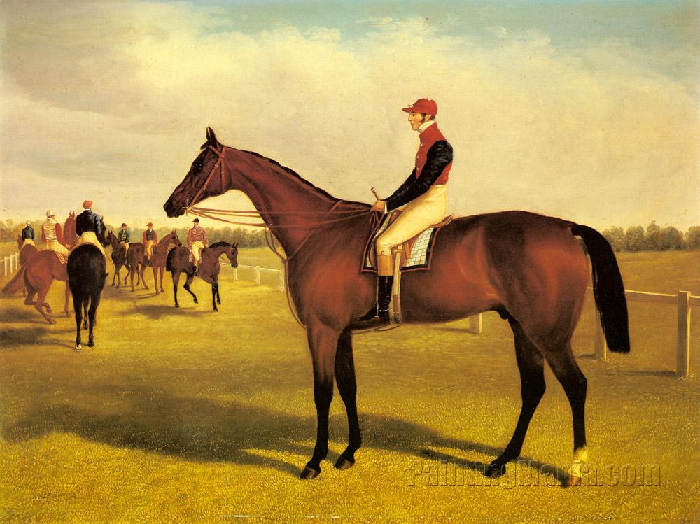 Don John the Winner of the St Leger with William Scott up
