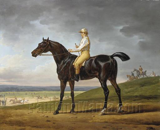 "Dr. Syntax", a brown racehorse with Robert Johnson up, in an extensive landscape
