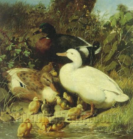 A drake and ducks with ducklings at the water's edge
