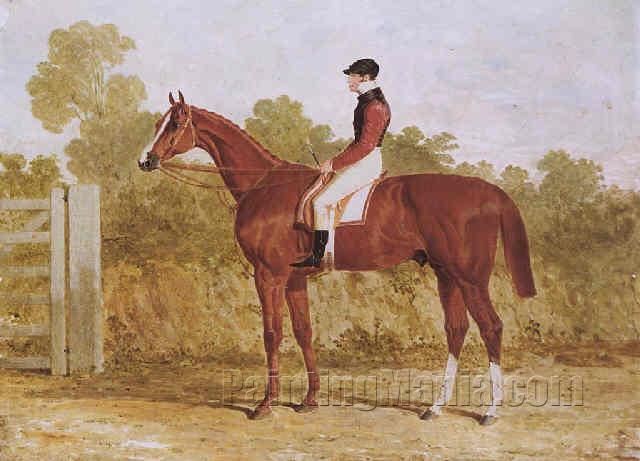 "Elis", a chestnut racehorse with John Day Snr. up, by a gate