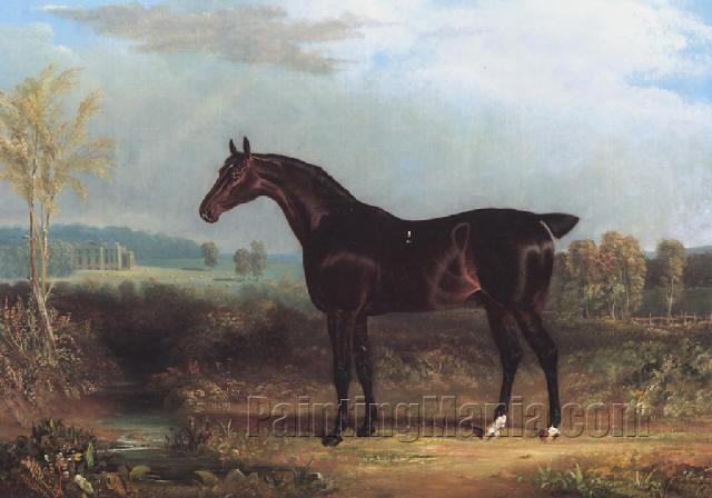 The Hon. Edward Petre's brown colt "Sir John" at Stapleton Park, Yorkshire