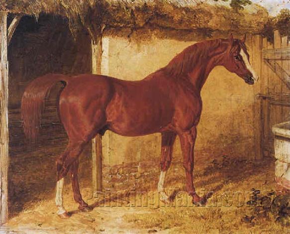 "Langar", a chestnut racehorse outside a stable