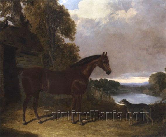 "Major", a bay hunter, with a greyhound, beside a barn, with a lake beyond