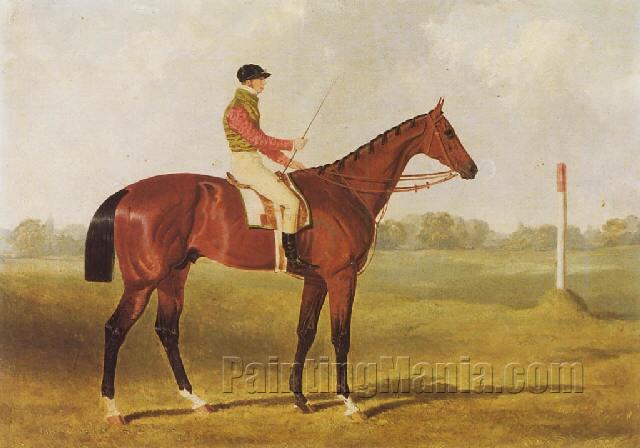 "Phosphorus", a bay racehorse with George Edwards up, on a racecourse